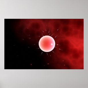 Begriffsbild der allgemeinen Düngung Poster