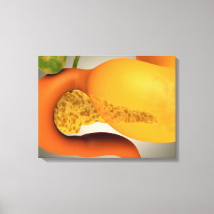 Begriffsbild des menschlichen Pankreas und des Leinwanddruck