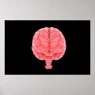 Begriffsbild menschlichen Gehirns 3 Poster
