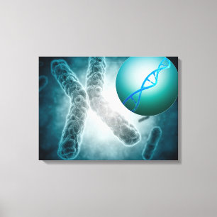 Begriffsbild von einem Telomere, das DNS zeigt Leinwanddruck