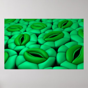 Begriffsbild von Stomata 1 Poster