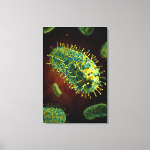 Begriffsbild von Tollwut-Virus 1 Leinwanddruck