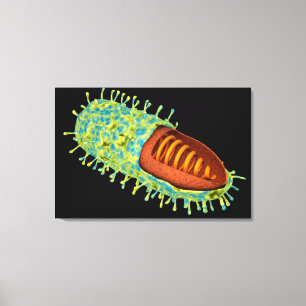 Begriffsbild von Tollwut-Virus 3 Leinwanddruck