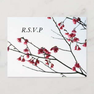 Begrüßung Frühjahr/Oriental Zen Flora UAWG Einladungspostkarte