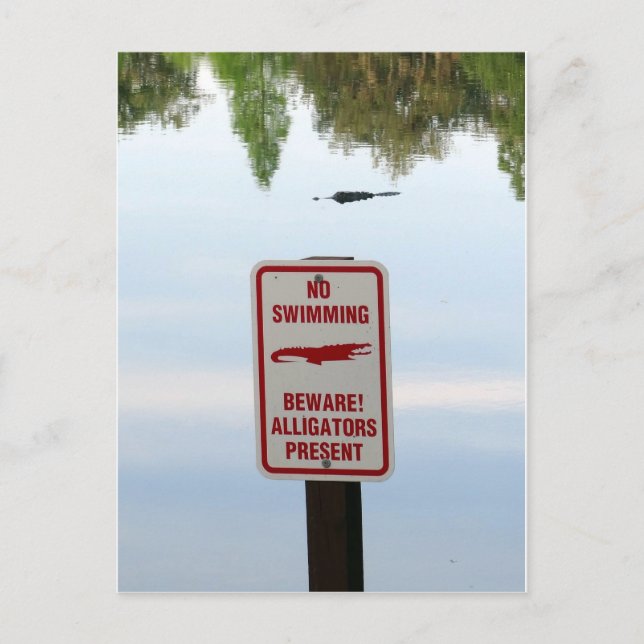 Begrüßungsausschuss für Florida Postkarte (Vorderseite)