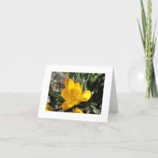 Begrüßungsfrühling Karte