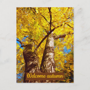 Begrüßungsherbst Postkarte