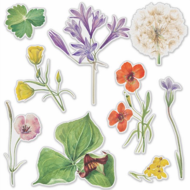 Begrüßungszeichen farbenfrohe Wildblume Aufkleber (Vorderseite)