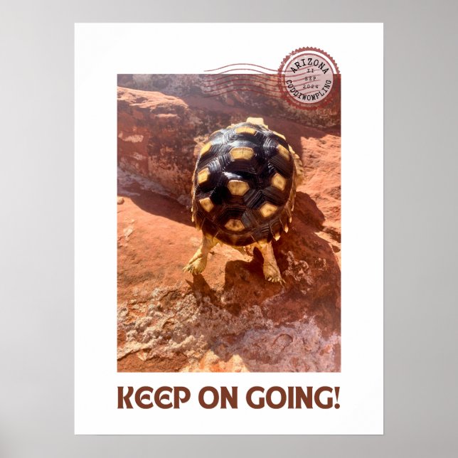 Behalt auf dem Wandern mit dem Baby Sulcata in Sed Poster (Vorne)