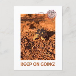 Behalt auf Motivierend Kabeljauentwicklung Tortois Postkarte
