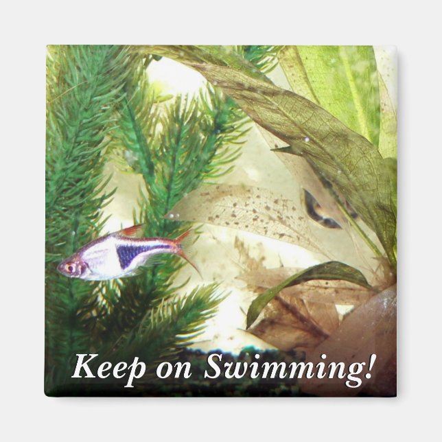Behalt beim Schwimmen! Magnet (Vorne)