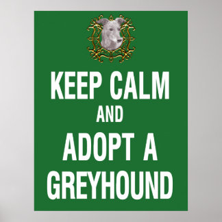 Behalt Calm & Adoptier einen Windhund Poster