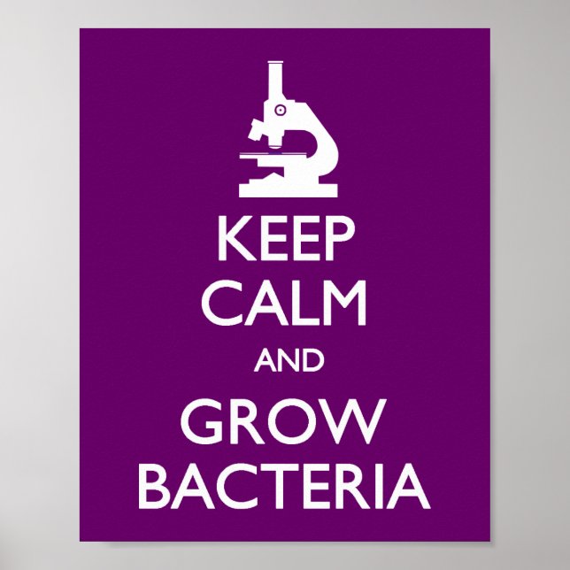 Behalt Calm Grow Bacteria Poster (Vorne)