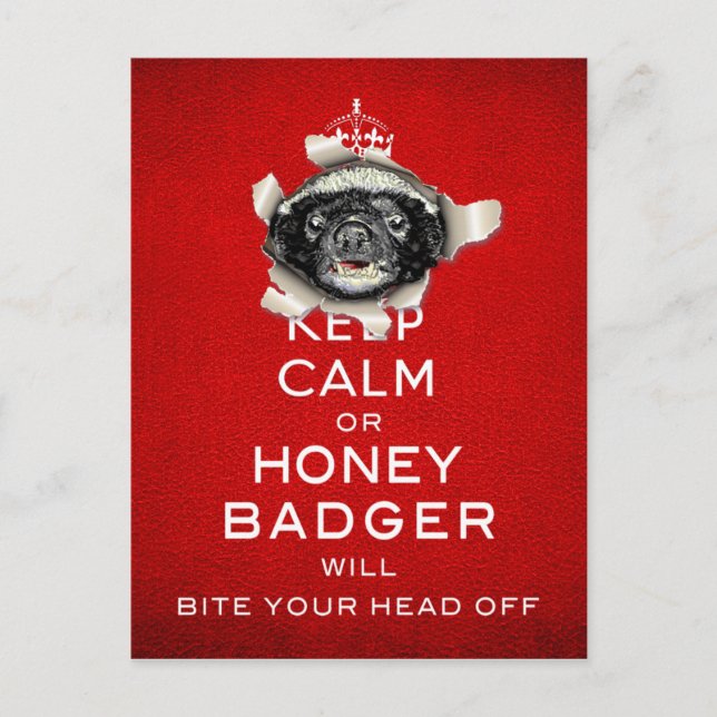 Behalt Calm oder Honey Badger... Postkarte (Vorderseite)