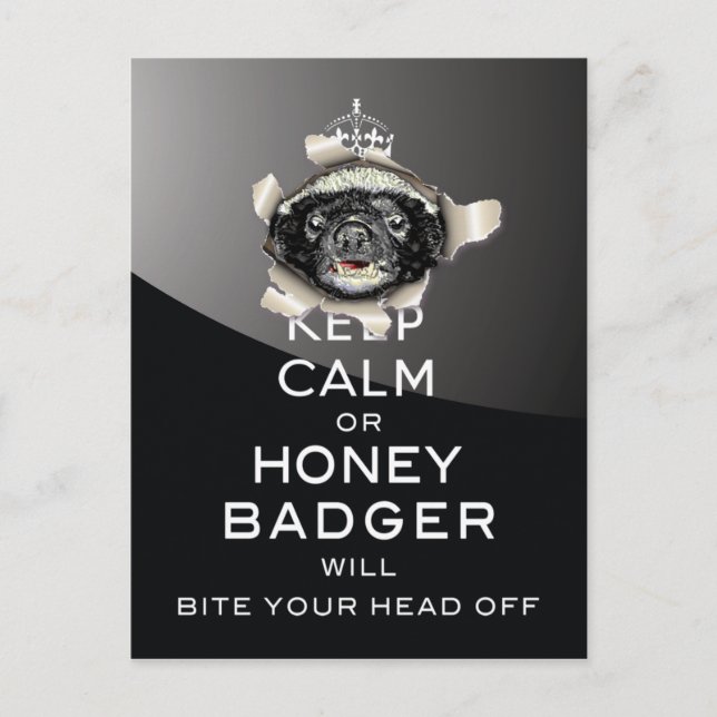Behalt Calm oder Honey Badger... Postkarte (Vorderseite)