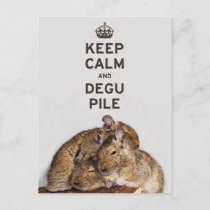 Behalt Calm und Degu Pile Postkarte