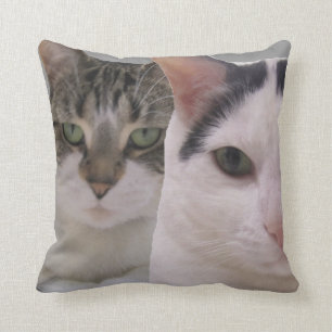 Behalt deinen Freunden Nahe und Feinde Nähere Katz Kissen