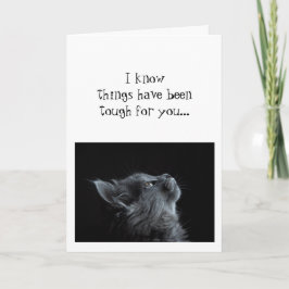 Behalt der Suche nach Gott Ermutigung Katze Tier Karte