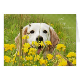 behalt einfach Beagle schnüffeln in Wildblumen