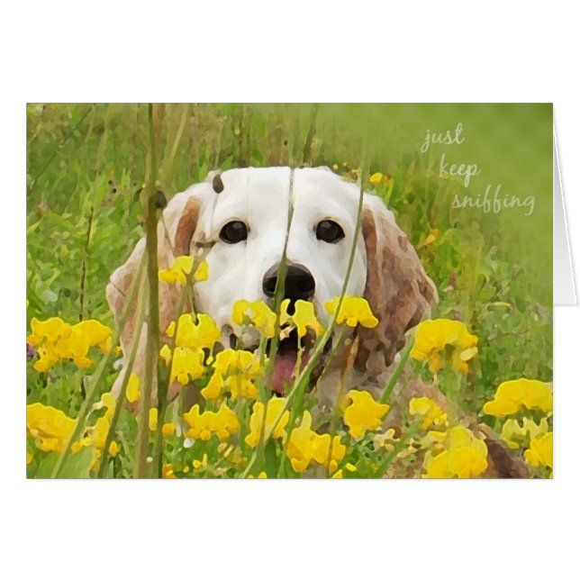 behalt einfach Beagle schnüffeln in Wildblumen (Vorderseite (Horizontal))