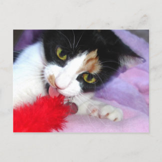 Behalt es sauber! postkarte