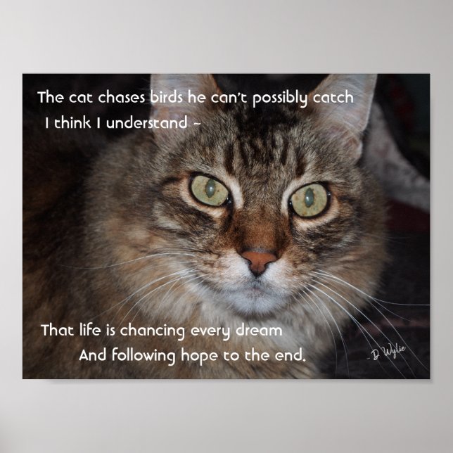 Behalt Jagd Träume Poster (Vorne)