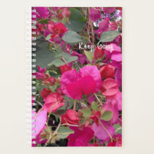 Behalt Motivierend rosa Blume