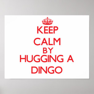 Behalt Ruhe durch Dingo Poster