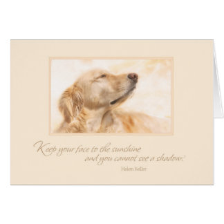 Behalten Sie Ihr Gesicht zum Sonnenschein