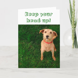 Behalten Sie Ihren Kopf herauf Karte