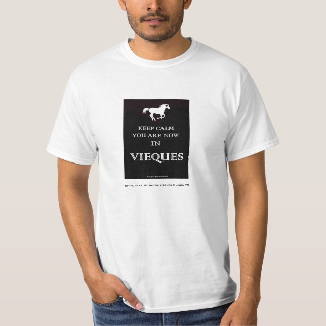 BEHALTEN Sie RUHE, die Sie jetzt in T-Shirt (Vorderseite)
