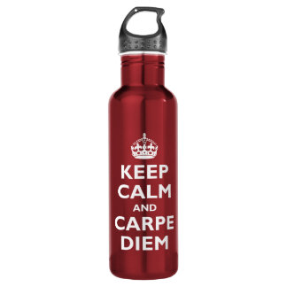 Behalten Sie Ruhe und Carpe Diem Edelstahlflasche