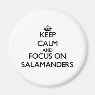 Behalten Sie Ruhe und Fokus auf Salamanders Magnet
