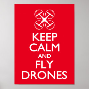 Behalten Sie ruhige und Fliegen-Drohnen Poster