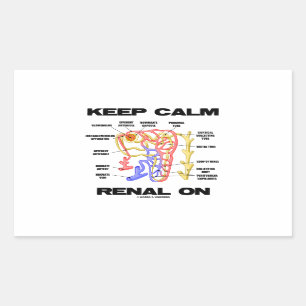 Behalten Sie ruhiges Nieren auf (Niere Nephron) Rechteckiger Aufkleber