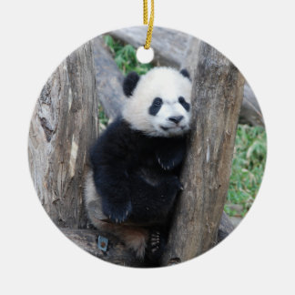 Bei Bei Pandajungsverzierung Keramikornament