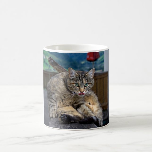 Bei der Reinigung gestört Kaffeetasse (Mittel)