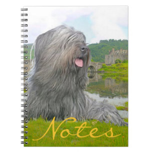 Bei Eilean Donan Notizblock