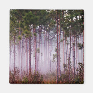 Bei Sonnenaufgang zwischen Pinien und Everglades Magnet