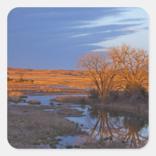 Bei Sonnenuntergang am Calamus River badet Quadratischer Aufkleber