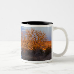 Bei Sonnenuntergang am Calamus River badet Zweifarbige Tasse