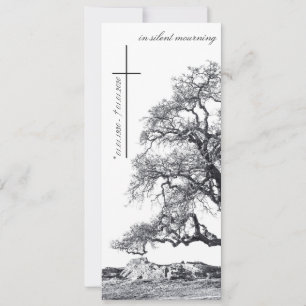 Bei stille Trauer - Baum auf der Wiese