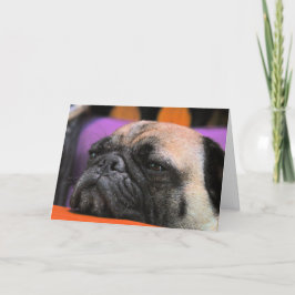 Beifall-oben! Mops-Gruß-Karte Karte