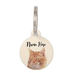 Beig-orangefarbene streunende Ginger-Katze Haustiermarke