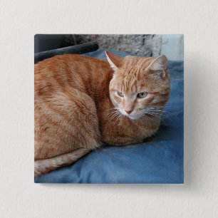Beige Cat Button