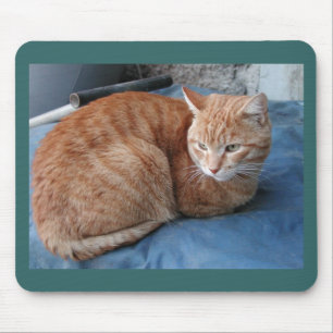 Beige Cat Mousepad
