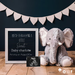 beige et gris faire-part minimaliste de grossesse