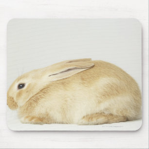 Beige Häschen auf weißem Hintergrund 4 Mousepad