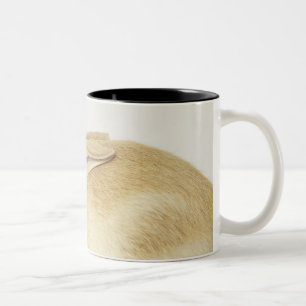Beige Häschen auf weißem Hintergrund 4 Zweifarbige Tasse
