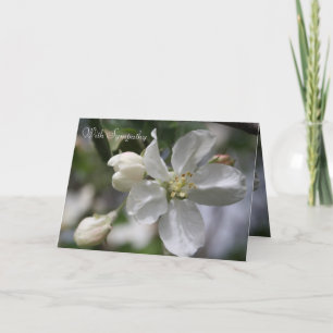 Beileid Apple Blossom Card Dankeskarte